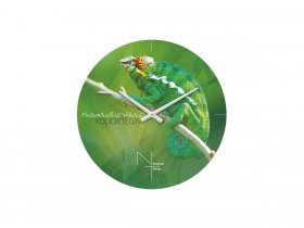 Часы настенные Nicole Time NT503 в Батагае - batagaj.mebel-nsk.ru | фото